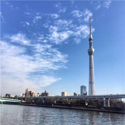 豪门世界手游官方版下载